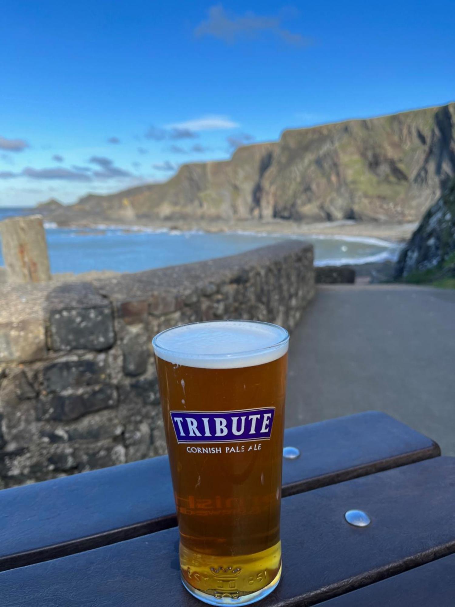 Hartland Quay Hotel Bagian luar foto