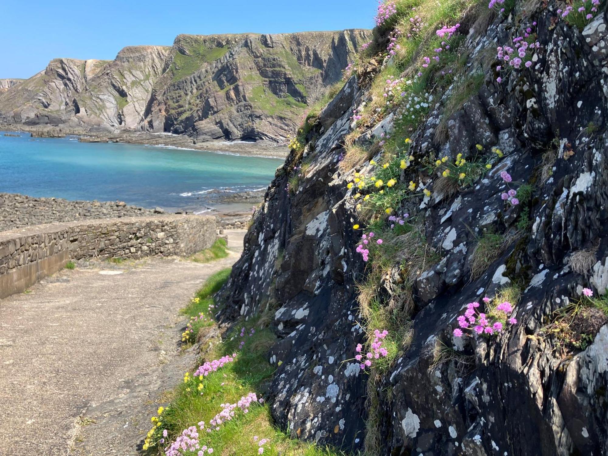 Hartland Quay Hotel Bagian luar foto