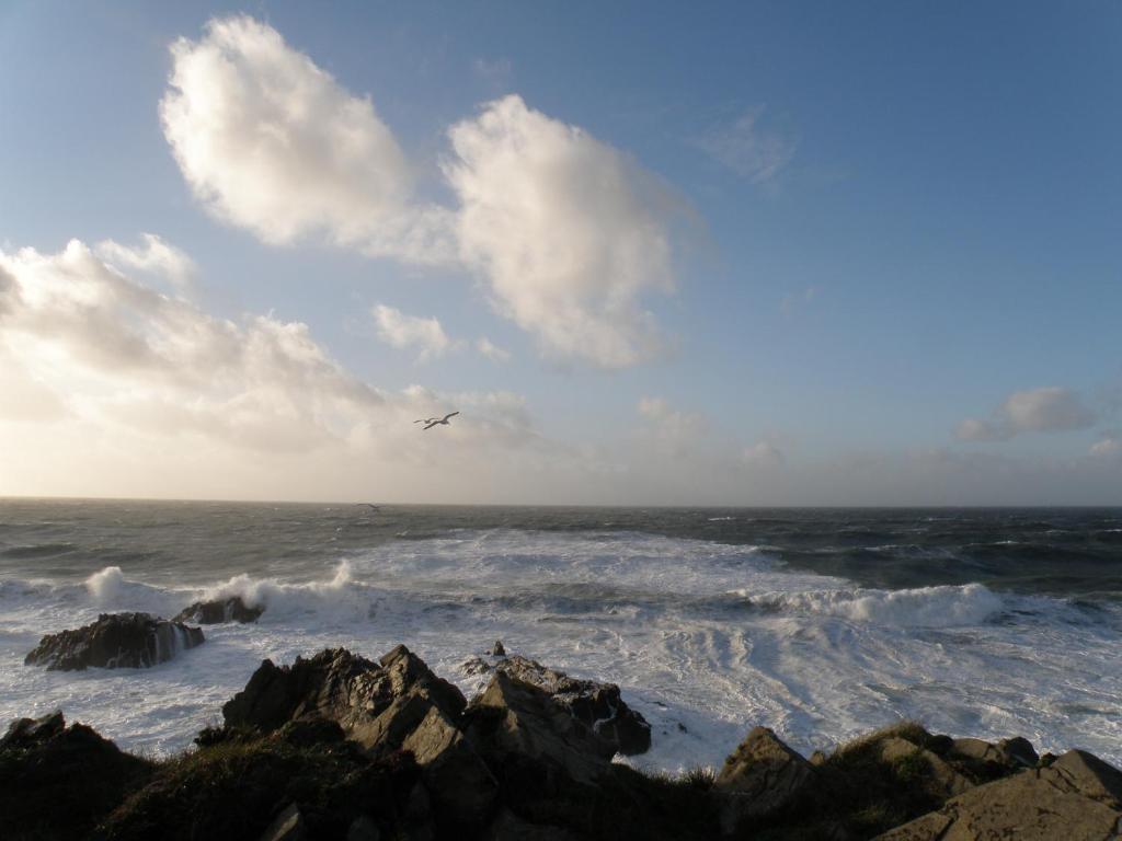 Hartland Quay Hotel Ruang foto