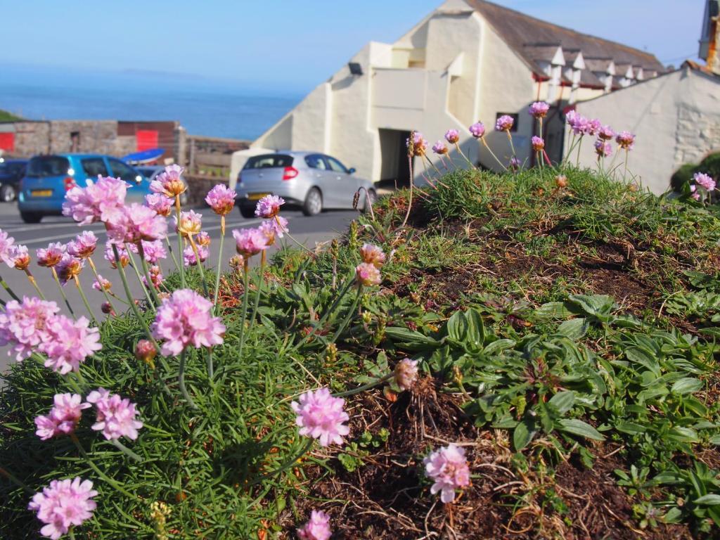 Hartland Quay Hotel Ruang foto